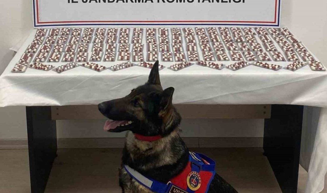 Uyuşturucuyla yakalanan şahıs utuklandı Kastamonu’nun Tosya ilçesinde jandarma ekiplerince düzenlenen operasyonda bin 344 adet