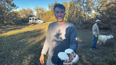 Bilecik ve ilçelerinde geçtiğimiz gün yağan sağanak yağış sonrası ormanlarda