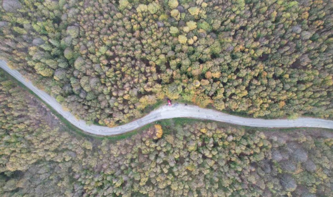 Yalova’da sonbaharla birlikte Samanlı Dağları’ndaki renk cümbüşü görenleri mest ediyor.