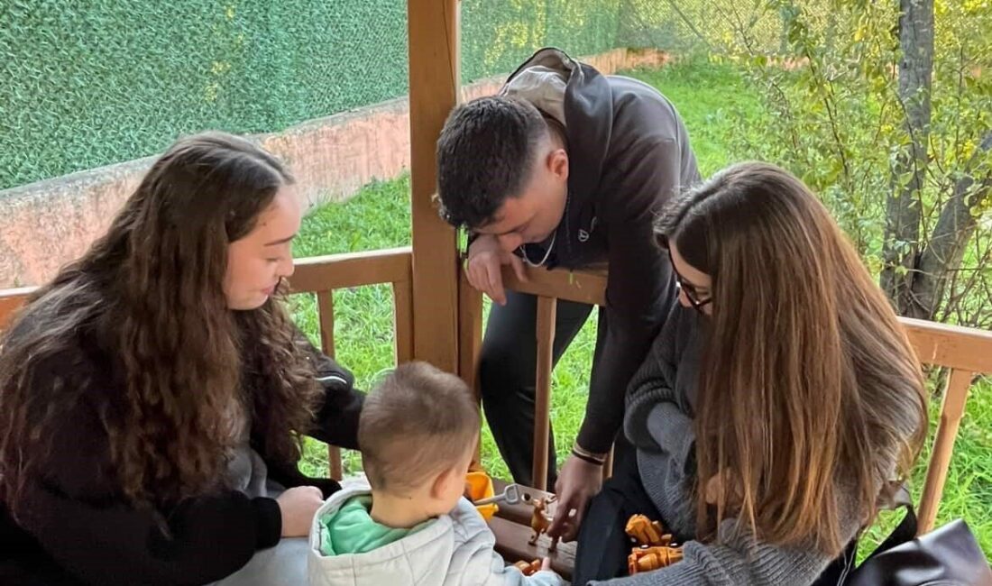 Yalova Üniversitesi Siyaset Bilimi ve Kamu Yönetimi Kulübü, sosyal sorumluluk