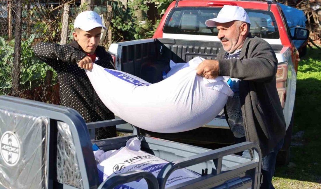 Yangın mağduru çiftçilere tarımsal destek Kocaeli’de yaz aylarında Körfez ve Kandıra ilçelerinde çıkan yangınlarda tarlaları