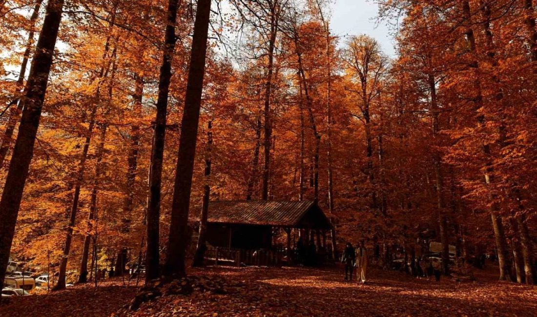 Yedigöller Milli Parkı ziyaretçi akınına uğradı Bolu’nun doğa harikası Yedigöller Milli Parkı hafta sonunda ziyaretçi akınına