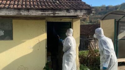 DÜZCE(İHA) – Düzce’de fındık üreticisinin korkulu rüyası Kahverengi Kokarca ile