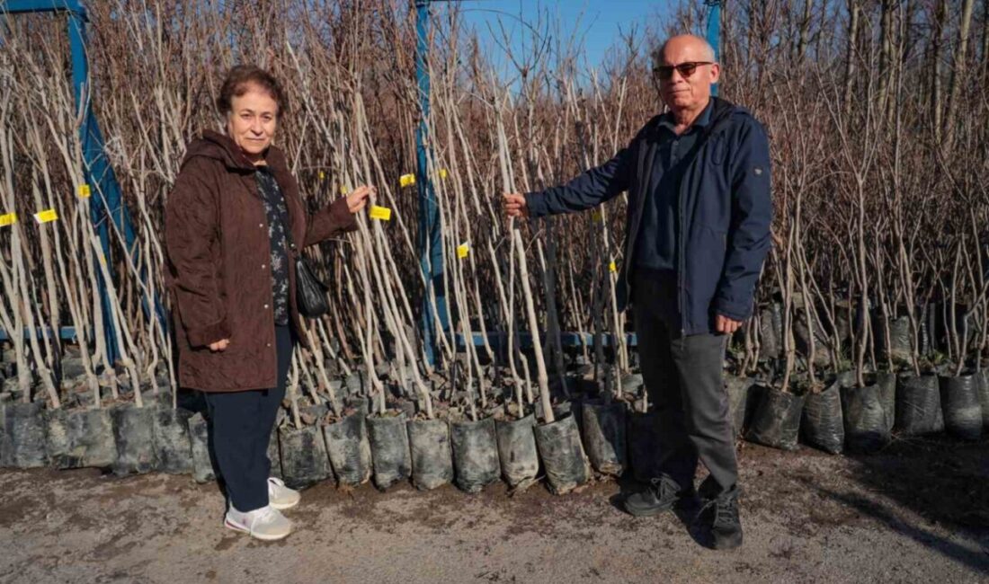 Kocaeli’de “Meyveciliği Geliştirme Projesi” kapsamında başlatılan yüzde 50 hibeli Trabzon