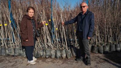 Kocaeli’de “Meyveciliği Geliştirme Projesi” kapsamında başlatılan yüzde 50 hibeli Trabzon