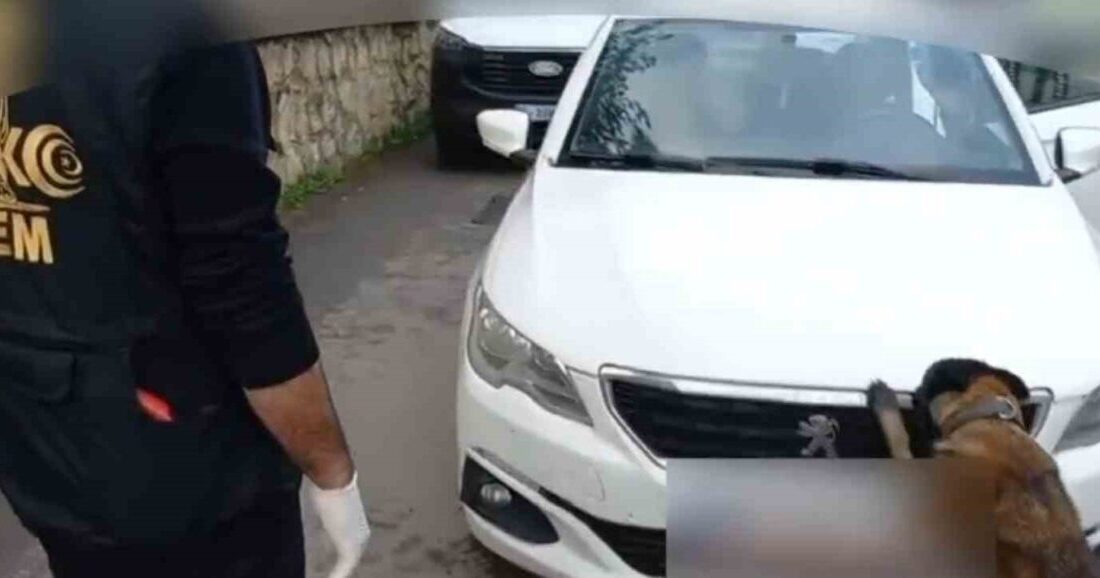 Sakarya’nın Akyazı ilçesinde araçta 92 kilo bonzai hammaddesi taşıyan 2