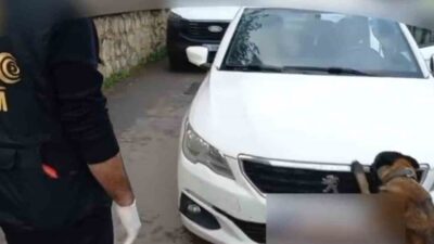 Sakarya’nın Akyazı ilçesinde araçta 92 kilo bonzai hammaddesi taşıyan 2