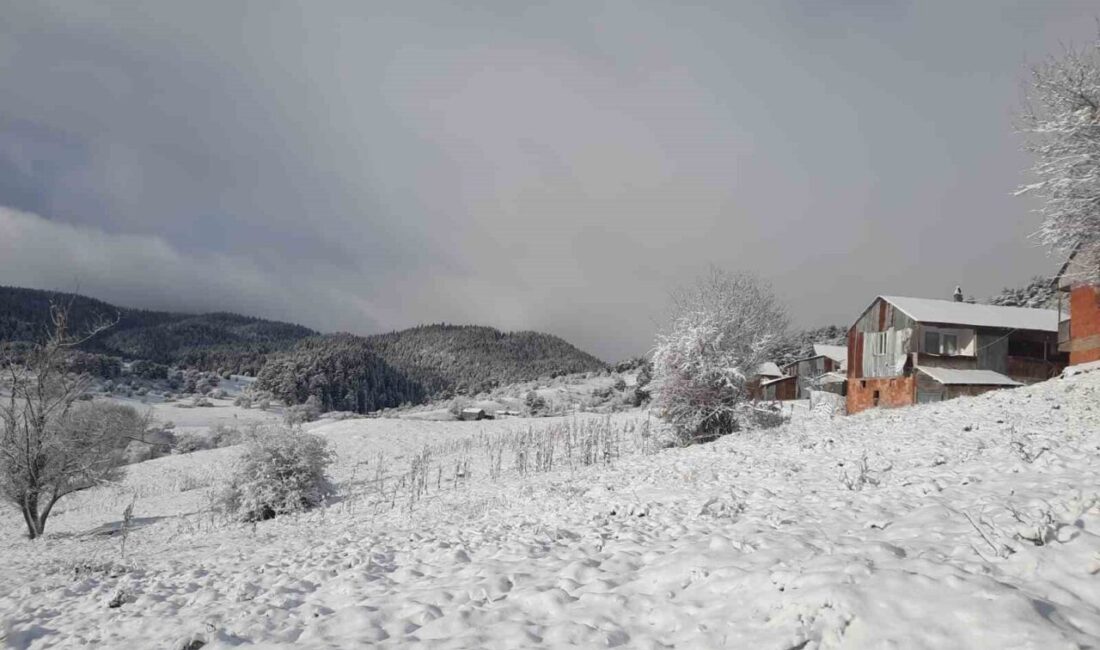 Türkiye’nin önemli turizm merkezlerinden Bolu’daki Abant Gölü Milli Parkı ve