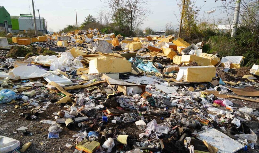 Kocaeli’nin İzmit ilçesi Sanayi Mahallesi’ndeki boş araziler ve yol kenarlarına