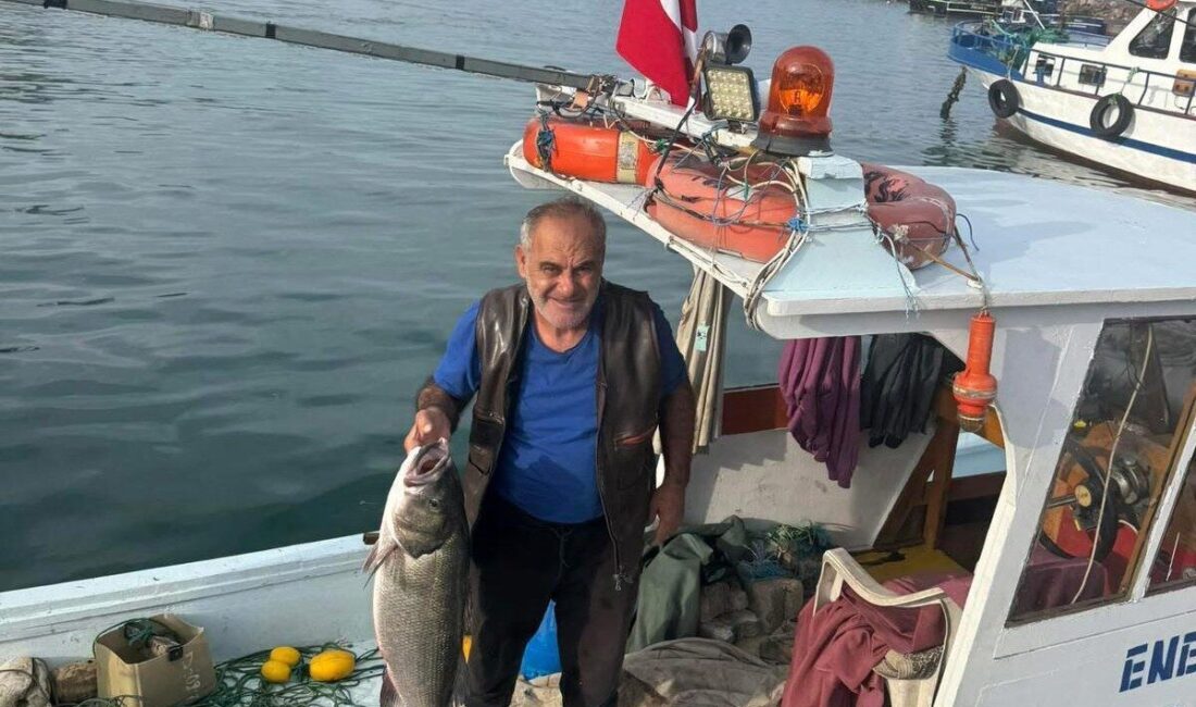 Akçakoca’da balıkçı ağına 10 kiloluk levrek takıldı Düzce’nin Akçakoca ilçesinde balıkçı ağına, 10 kilo 400 gram ağırlığında