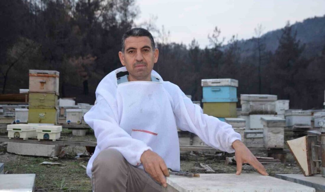 Bilecik’te 15 yıl önce, bir arı kovanıyla hobi olarak ana