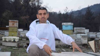 Bilecik’te 15 yıl önce, bir arı kovanıyla hobi olarak ana