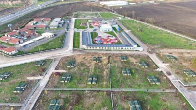 Sakarya Büyükşehir Belediyesinin sokak hayvanlarıyla ilgili Türkiye’ye örnek olan 10