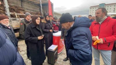 Bilecik’in Gölpazarı ilçesinde yürütülen “Meyveciliği Geliştirme” projesi kapsamında Valilik ve