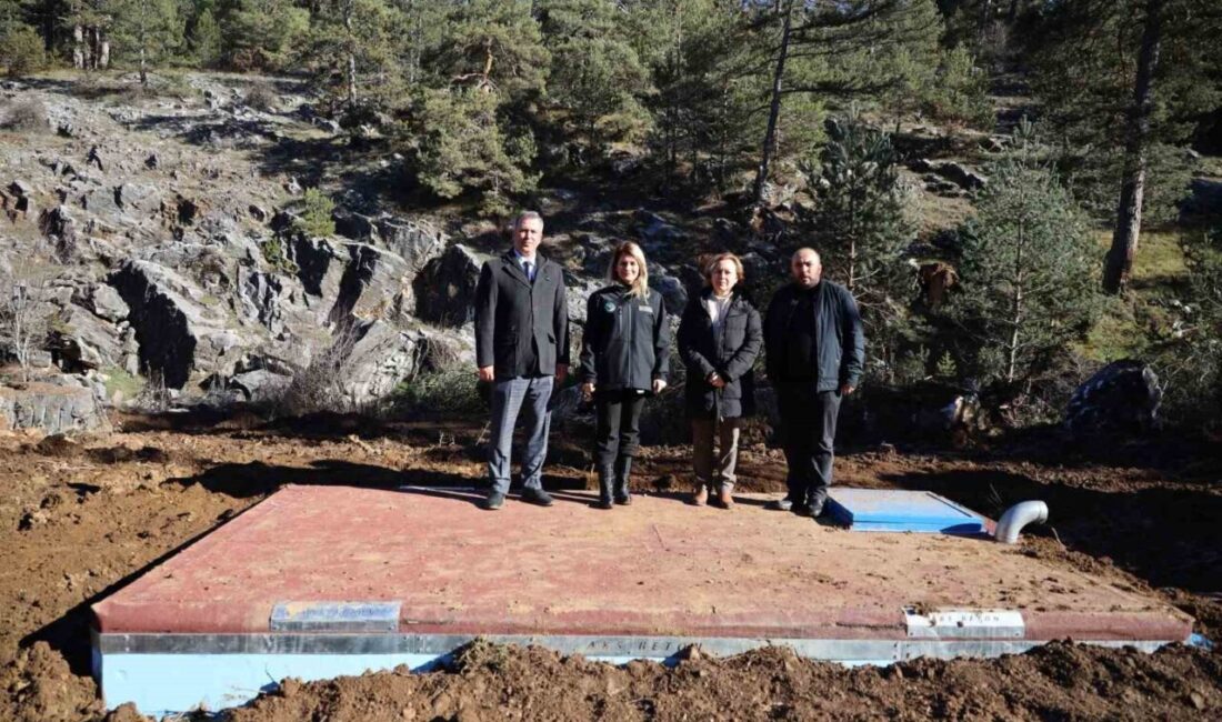 Bilecik’in Pazaryeri ilçesine bağlı Sarıdayı köyünde yaklaşık iki aydır yaşanan