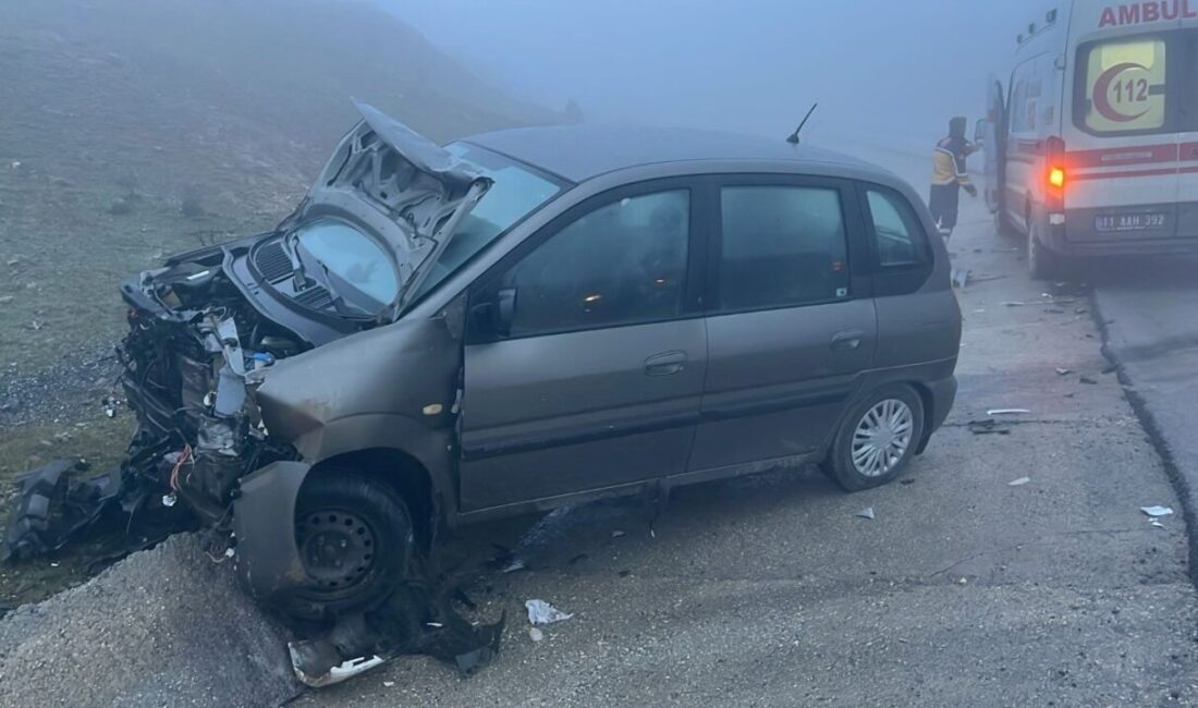 Bilecik’te iki aracın kafa kafaya çarpışması sonucu meydana gelen trafik