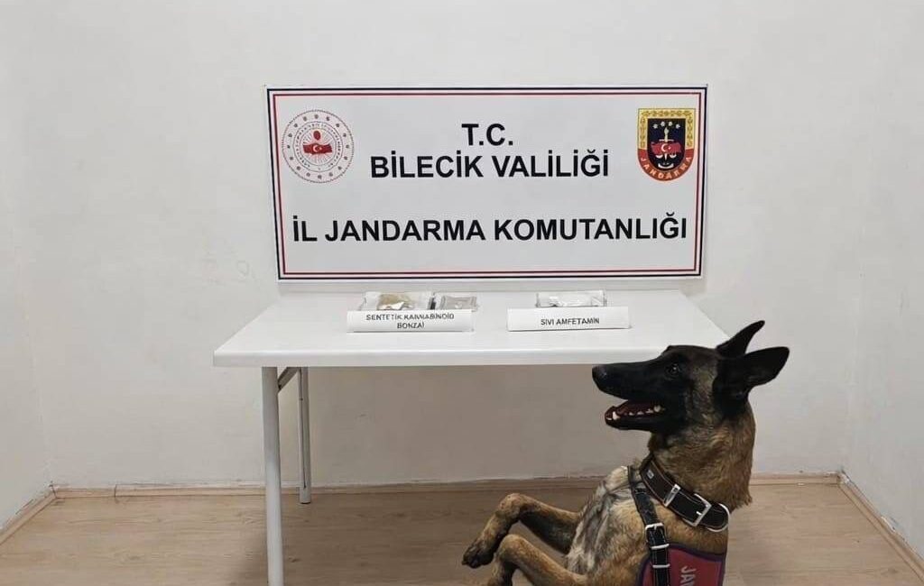 Bilecik’te jandarmanın devriye gezdiği esnada yol kenarında şüpheli bir şekilde