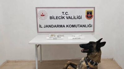 Bilecik’te jandarmanın devriye gezdiği esnada yol kenarında şüpheli bir şekilde