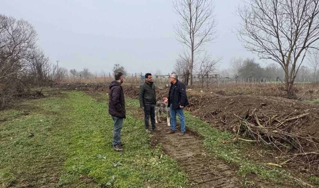 Bilecik’in Pazaryeri ilçesine bağlı Kınık Köyü’nde, taşkın riskine karşı dere
