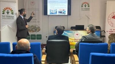 Bilecik’in Söğüt ilçesinde üreticilere marulda iyi tarım uygulamaları eğitimi verildi.