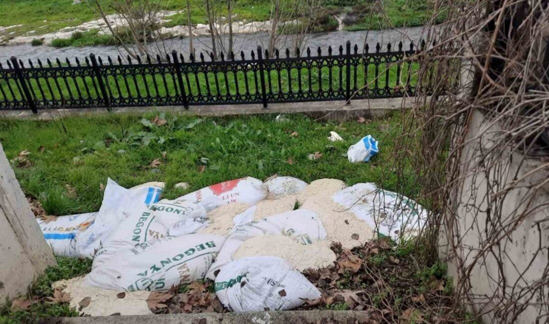 Bilecik’te yol kenarına atılan 15 çuval ekmek hamuru temizlendi Bilecik’te yol kenarına atılan ve içinde ekmek hamuru tespit edilen