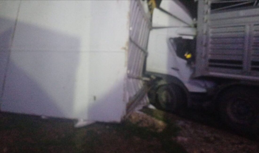 Bilecik’te zincirleme kaza: 1 yaralı Bilecik’in Bozüyük ilçesinde Eskişehir-Bozüyük karayolunda meydana gelen zincirleme trafik kazasında