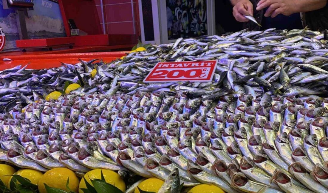 Bolu’da fırtına balık tezgahlarını vurdu Bolu’da kurulan halk pazarındaki balık tezgahları, Karadeniz’de etkili olan olumsuz
