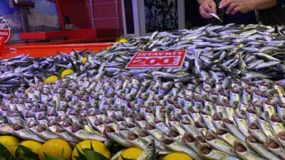 Bolu’da kurulan halk pazarındaki balık tezgahları, Karadeniz’de etkili olan olumsuz