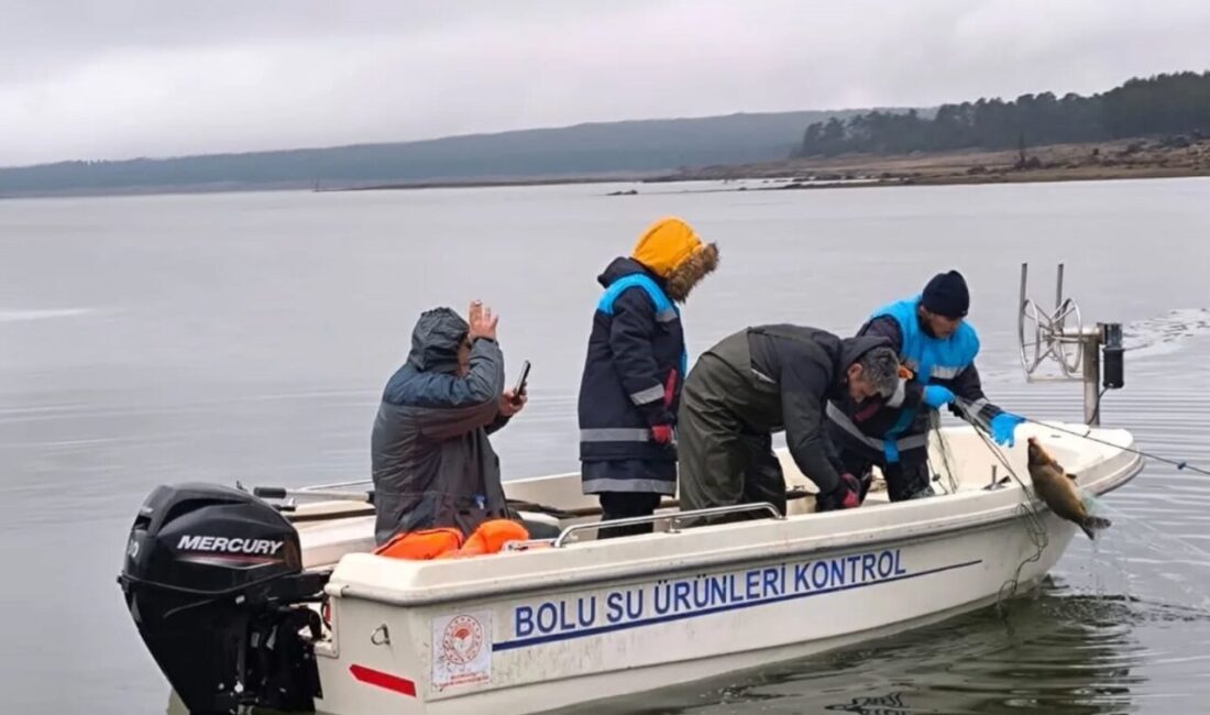 Bolu’nun Seben ilçesindeki Taşlıyayla Göleti’ne kaçak avcılar tarafından bırakılan 500