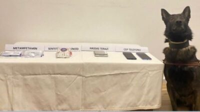 Bolu İl Jandarma Komutanlığı ekipleri tarafından düzenlenen operasyonda uyuşturucu madde