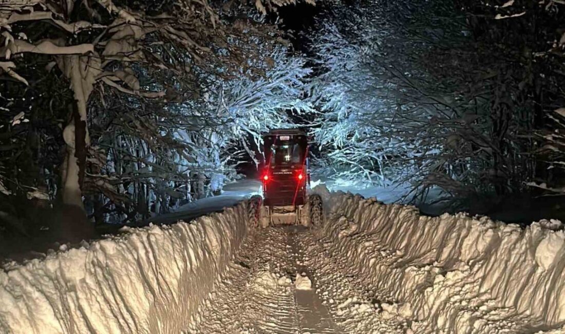 Bolu’da etkili olan yoğun kar yağışı nedeniyle kapanan 263 köy