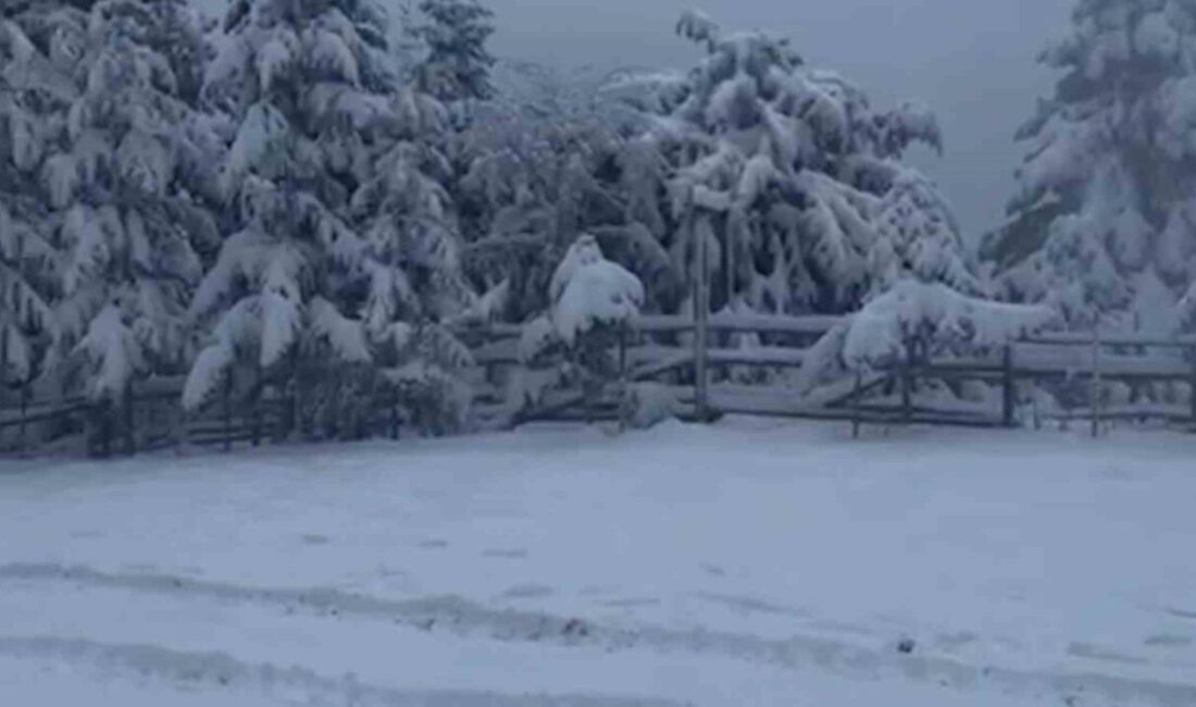 Bolu’nun Gerede ilçesindeki Arkut Dağı Kayak Merkezi’nde yapay kar üretim