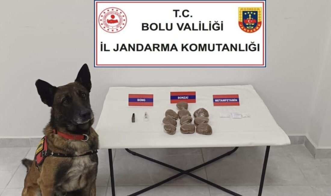 Bolu’da otomobilde zulalanmış uyuşturucuya 2 gözaltı Bolu’da bir otomobilde zulalanmış uyuşturucuyla ilgili 2 kişi hakkında işlem