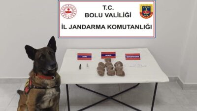 Bolu’da bir otomobilde zulalanmış uyuşturucuyla ilgili 2 kişi hakkında işlem