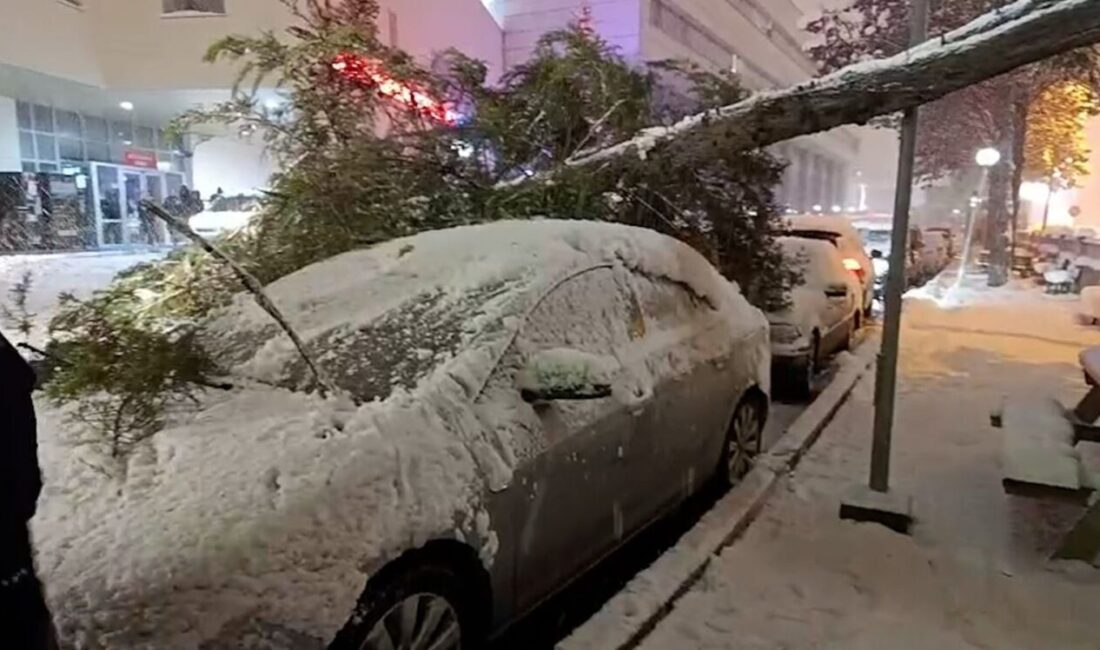 Bolu’da 2 gündür etkili olan yoğun kar yağışı nedeniyle Köroğlu
