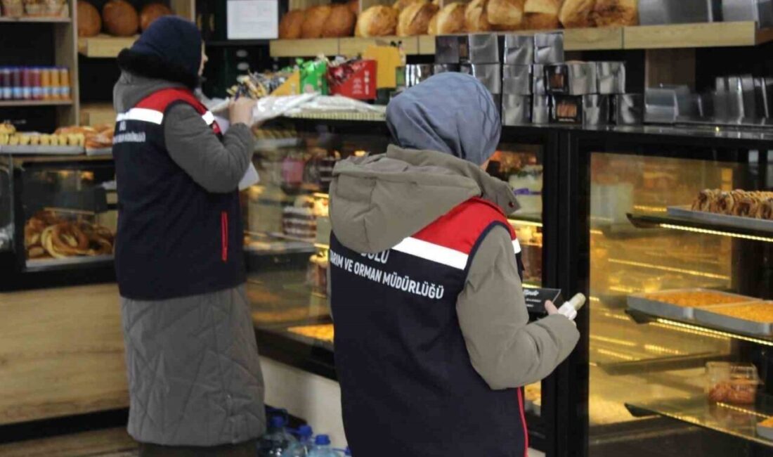 Bolu’da yılbaşı öncesinde gıda denetimlerinde 350 işletme kontrol edilirken, mevzuata