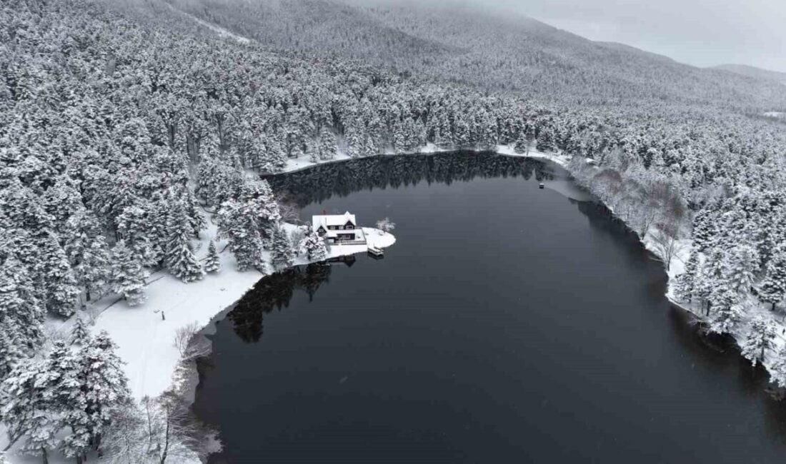 Bolu’nun doğa harikası Gölcük Tabiat Parkı, kar yağışının ardından beyaz