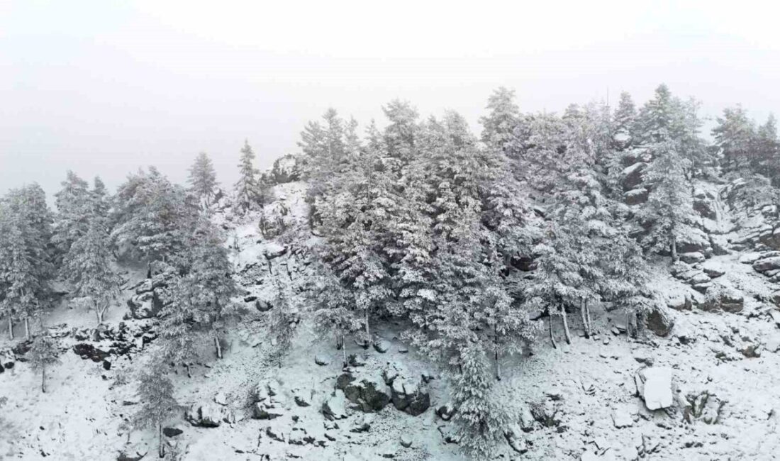 Bolu’nun yüksek kesimlerinde sabah saatlerinden itibaren kar yağışı etkili oluyor.