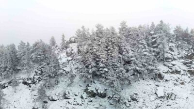 Bolu’nun yüksek kesimlerinde sabah saatlerinden itibaren kar yağışı etkili oluyor.