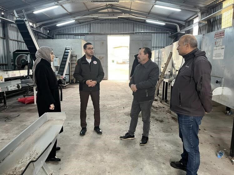 Gölpazarı Kaymakamı Feyza Nur Kılıç, ilçelerinin geçim kaynağı olan ceviz