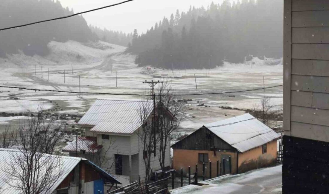 Çiğdem Yaylası beyaza büründü Sakarya’nın Hendek ilçesinde bulunan Çiğdem Yaylası, gece saatlerinde başlayan kar