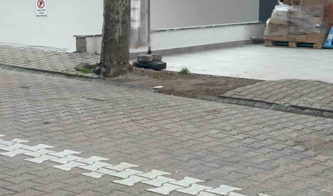 Kocaeli’nin Darıca ilçesinde sokakta ağacın altında gördüğü kargo poşetini çöpe