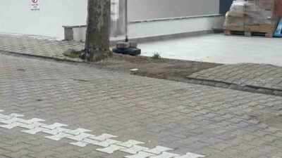 Kocaeli’nin Darıca ilçesinde sokakta ağacın altında gördüğü kargo poşetini çöpe