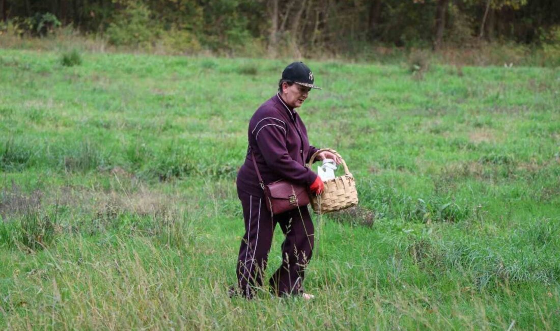 Kocaeli’deki Avrupa’nın en büyük doğal yaşam parkı Ormanya’da düzenlenen etkinlikte