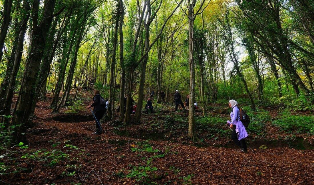 Doğaseverler Sakarya’nın eşsiz doğasını keşfetti Sakarya Büyükşehir Belediyesi tarafından geleneksel hale getirilen sonbahar doğa yürüyüşleri,