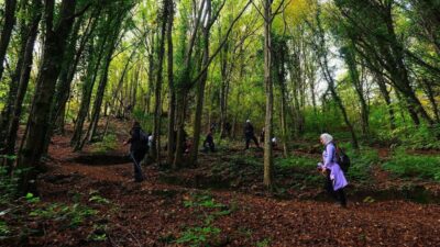 Sakarya Büyükşehir Belediyesi tarafından geleneksel hale getirilen sonbahar doğa yürüyüşleri,