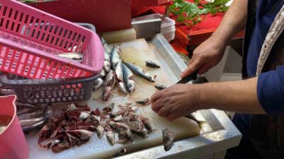 Balığın tazeliğinin gözünden anlaşılmadığını söyleyen esnaf, özellikle istavrit ve mezgitte