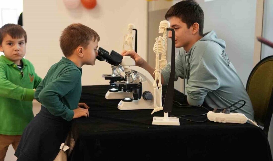 Düzce Belediye Başkanı Dr. Faruk Özlü’nün girişimleri ve TÜBİTAK’ın desteği