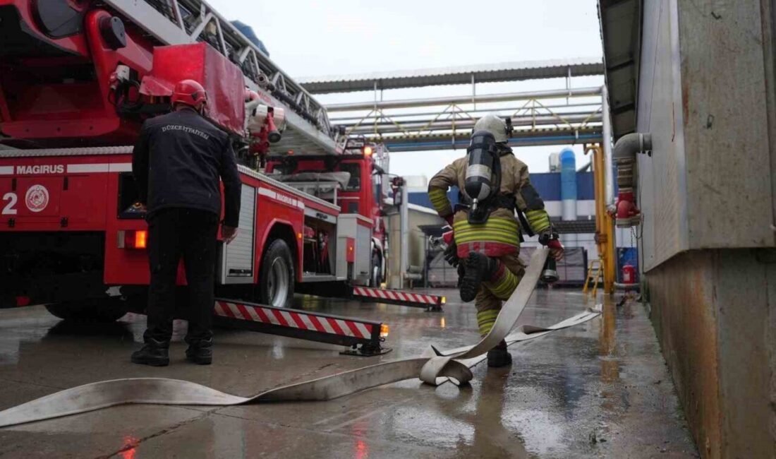 Düzce itfaiyesi 700 yangına müdahale etti Düzce Belediyesi İtfaiye Müdürlüğü 2025 yılı boyunca bildirilen 1700 ihbarın