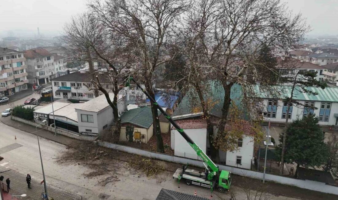 Düzce Belediyesi, kış bakımları kapsamında ağaçları budama çalışmalarına devam ediyor.
